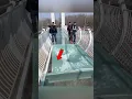 Broken Glass Bridge 😱