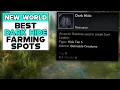 NEW WORLD BEST DARK HIDE FARMING SPOTS