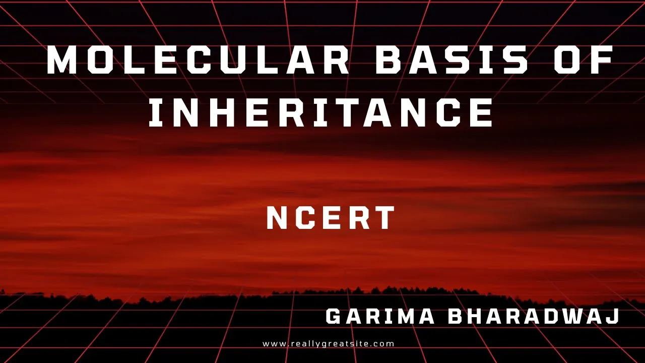 MOLECULAR BASIS OF INHERITANCE| NCERT LINE BY LINE| GARIMA BHARADWAJ