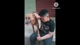 تعرف يا كلب  إلقاء مريم احمد صلاح كلمات الشاعر  محمد سرور دندنها