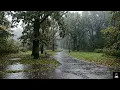 Autumn Rain in an Empty Park | Fall Rain Sounds for Sleep | Rainy Day Ambience