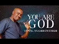 Download Lagu YOU ARE GOD — NNAMDI EWENIGHI