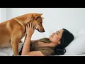 Download Lagu Viral!! Selama Suamiku Kerja Anjingku Sangat Paham Iya Lebih Kuat Daripada Suamiku