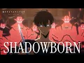 Download Lagu 【AMV】SHADOWBORN - 澤野弘之｜我獨自升級 第二季 -起於闇影- OST｜中文字幕