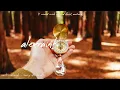 New Music Discovery 2026 🧭 • amazing songs by artists you’ve never heard of (1.5 hour playlist)