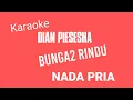 Download Lagu KARAOKE DIAN PIESESHA \
