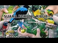 Download Lagu SUARA BURUNG RIBUT SUDAH TERBUKTI HASILNYA