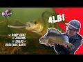 Lagu How to Catch GIANT River Perch This Winter | Lure Fishing with Nick Marsh