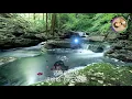 水中花 谭咏麟 国语 歌词版 第一次听是在那年春晚