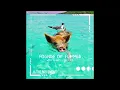 The Movement - Sounds of Summer