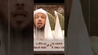 رمضان شهر العمل لا وقت فيه للكسل    الشيخ سعد العتيق دندنها