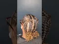 criss-cross stich braids with curly bun