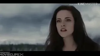 ya lili arabic rimex ai world persents