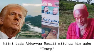 Godina Harargee Lixaa Aanaa Daaroo Labuutti Bulchaan Araddaa Ooyruu Qonnaan Bultootaa Saame 