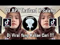 Download Lagu DJ APT THAILAND X SALEHO VIRAL TIK TOK TERBARU 2025 !