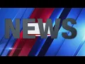 Three dead one in custody after shooting in Gibson County