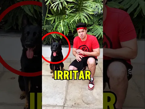 O ENALDINHO TENTOU IRRITAR O CACHORRO MAIS BONZINHO DO MUNDO
