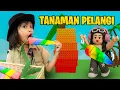Download Lagu LEIKA TANAM 1000 BENIH HASILKAN LEBAH 🌻🌼 UPDATE GIFT LANGKA 0.01% GROW A GARDEN [ROBLOX INDONESIA]