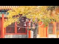 Download Lagu 温奕心 - 一路生花 Yi Lu Sheng Hua 歌词 『我希望许过的愿望一路生花 护送那时的梦抵挡过风沙』