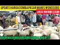 Download Lagu GOEDKOOPSTE 900 DUIZEND VOOR 3 HOOFDSTUKKEN, PRIJS VAN MERINO, DOMBOS EN LOKALE GEITEN OP DE MARK...