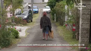 L'association Hippocampe cherche son nouveau lieu de vie