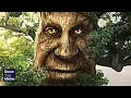 How This Creepy Tree Man Became a Meme Aztrosist Meme Review