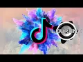 DJ Menemisu X Akon Right Now Na Na ( BombTikTokMix Dj Laurenz Siva )(BMVDJS)