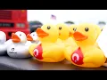Jeep Owners Save Lives with OneBlood