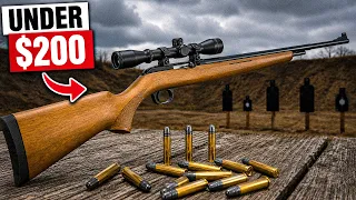 We Ranked Every Cheap 22 Rimfire Outperform Guns Costing 5x More