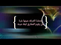 شيلة [[مملكة روحي]] اداء منصور الوايلي