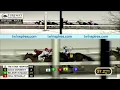 RACE 8 PROGRAM 2 7 2026