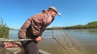 РЫБАЛКА НА САЗАНА И СОМА! УХ, ЭТО ЧТО ТАКОЕ! Ловля сома на червя и сазана на жмых. Ловля сазана