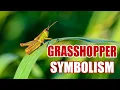 The Surprising Meaning of Grasshopper - Sign Meaning