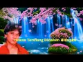 Download Lagu Kembalikan Hari Indah Kami- Tommy J Pisa(karaoke)