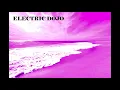 Black Snake [Re-edit] - Electric Dojo [synth cover] (Originally by Black Joe Lewis & the Honeybears)