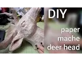 DIY How to Make a Paper Mache Deer Head