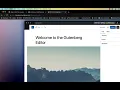 Quickly test drive plugins and themes right from the wordpress org lubus