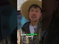 Unboxing the NEW Mr Beast Box at Zaxby s