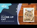 Paint a Close-Up Cat Portrait Intermediate Watercolor Painting by Sarah Cray Let s Make Art