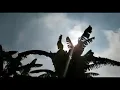 Download Lagu pinggir Bengawan solo
