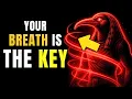 Download Lagu HET VERBODEN GEHEIM VAN THOTH: Haal ÉÉN KEER adem en je realiteit VERANDERT!