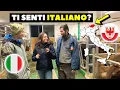 Download Lagu Parlano LADINO in ALTO ADIGE? - domande sulle DOLOMITI