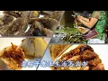 历史考试前夕；演唱：梁文福；作词: 梁文福；作曲：梁文福；编曲；陈志群【新谣经典】