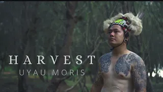 Download HARVEST - UYAU MORIS (Official Music Video) MP3