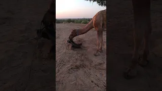 سيدي لنر مدى خطورة هذا المنتج سي حط م أي شيء تضعه عليه 