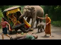 Download Lagu Monk Faces Angry Elephant on the Road | راهب يواجه فيلًا غاضبًا في الطريق 😱⁉️️