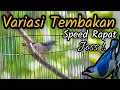 Download Lagu RAMBATAN PARUH MERAH GACOR TEMBAKAN VARIASI SPEED RAPAT