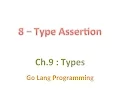 09 08 - Go Type Assertion