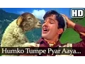 Download Lagu Jab Jab Phool Khile - Hum Ko Tum Pe Pyar Aaya - Mohd Rafi - Bollywood Hit Songs