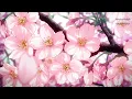 Jacquees - Round II [Anime Visualizer]